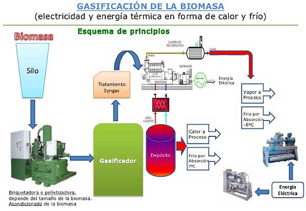 Cogeneracion
                    energia+calor con biomasa residual