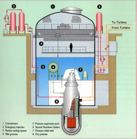 Reactor
            nuclear CAREM