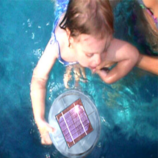 Solar PV ionizer for pools